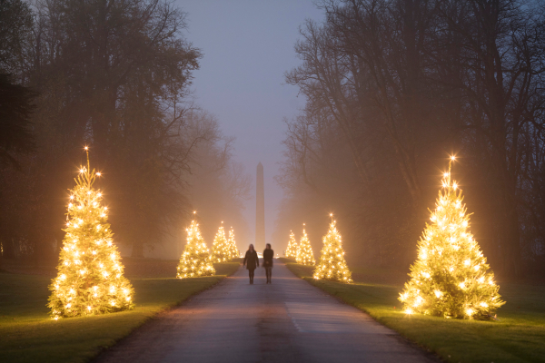 castle-howard-treesnorthdrive