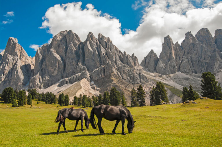italy-dolomites-mts-horses-istock-453125461