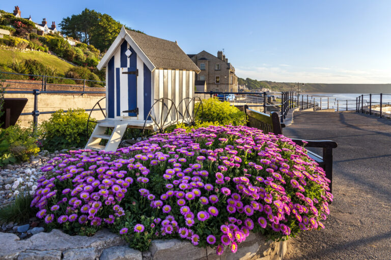 filey-north-yorkshire-beach-hut-flowers