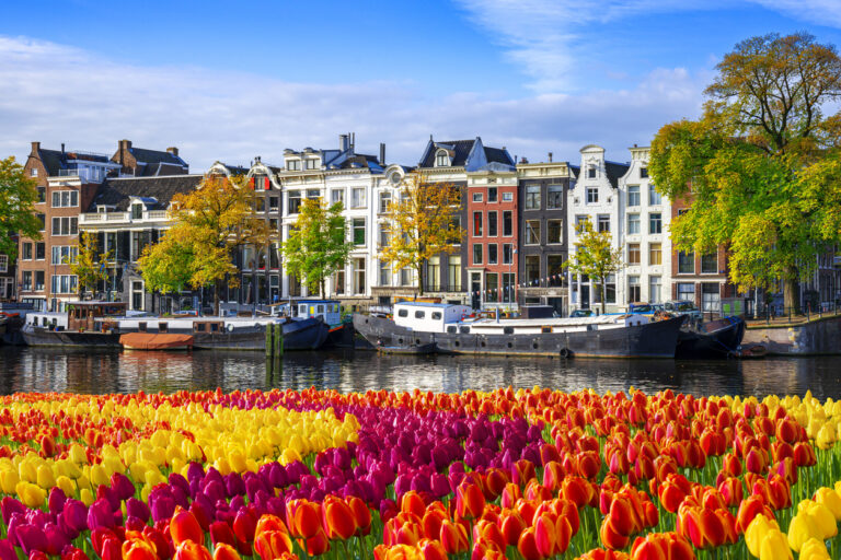 amsterdam-city-houses-at-canal-waterfront-with-spring-tulips